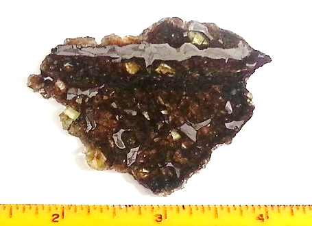 slice of Seymchan pallasite showing olivine rich portion